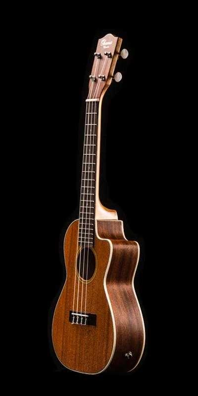 musik-wittl350991