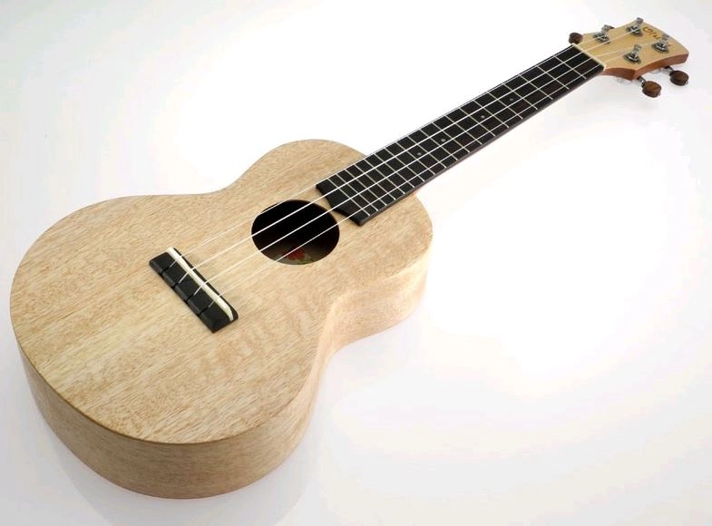 musik-wittl358480