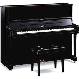 musik-wittl361105