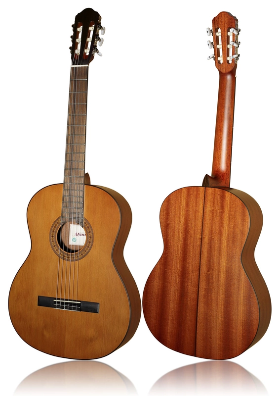 musik-wittl374041