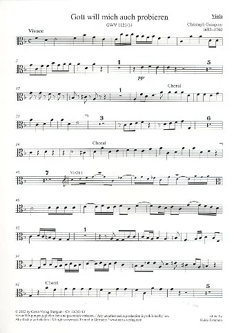 reisser-musik-11118255
