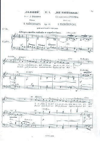 reisser-musik-11804431