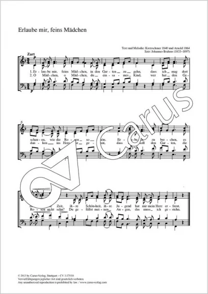 reisser-musik-2247676