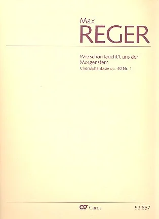 reisser-musik-2295711