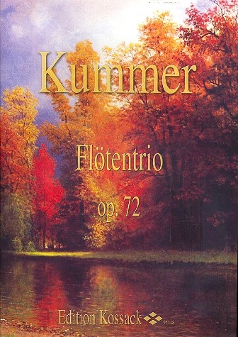 reisser-musik-2507929