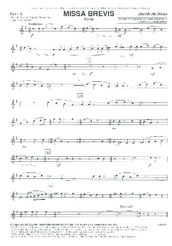reisser-musik-31305182
