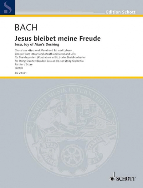 reisser-musik-3382306