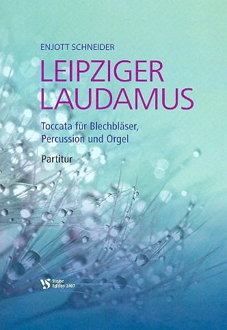 reisser-musik-3384072