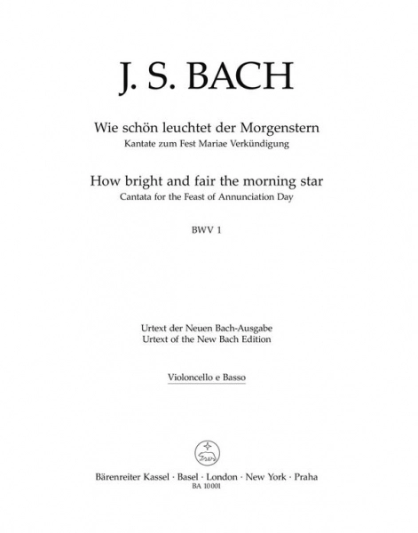 reisser-musik-3933302