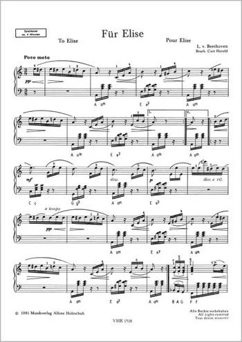 reisser-musik-41225400