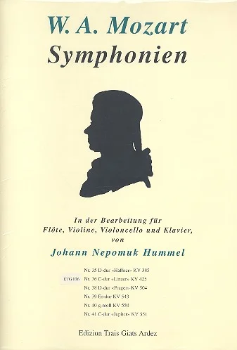 reisser-musik-41244145