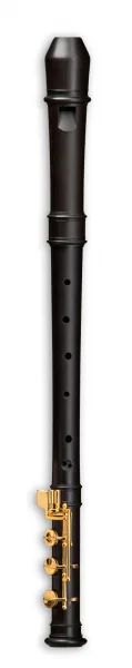 reisser-musik-41251651