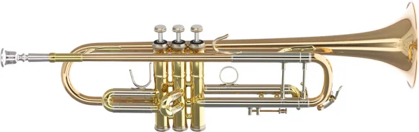 reisser-musik-41375526
