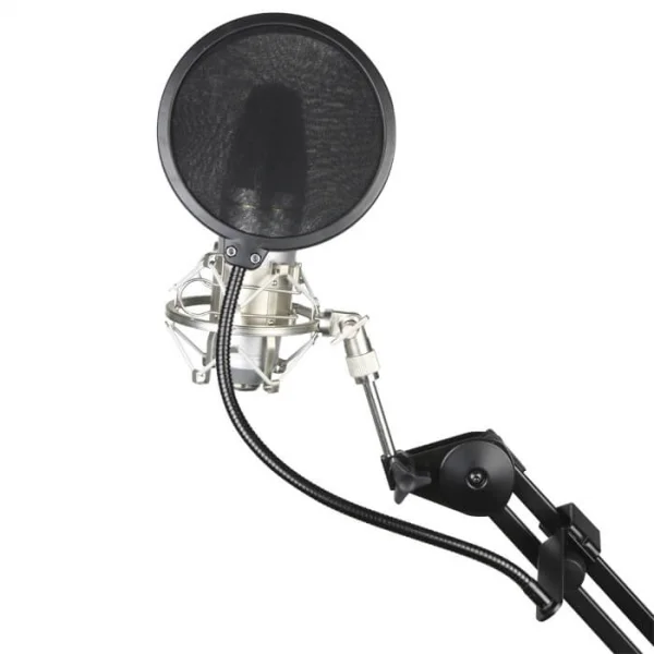 reisser-musik-4930039