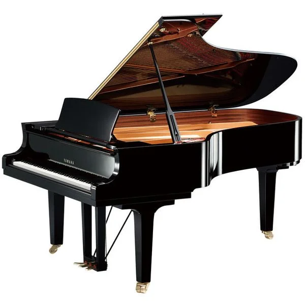 thomann-1869306