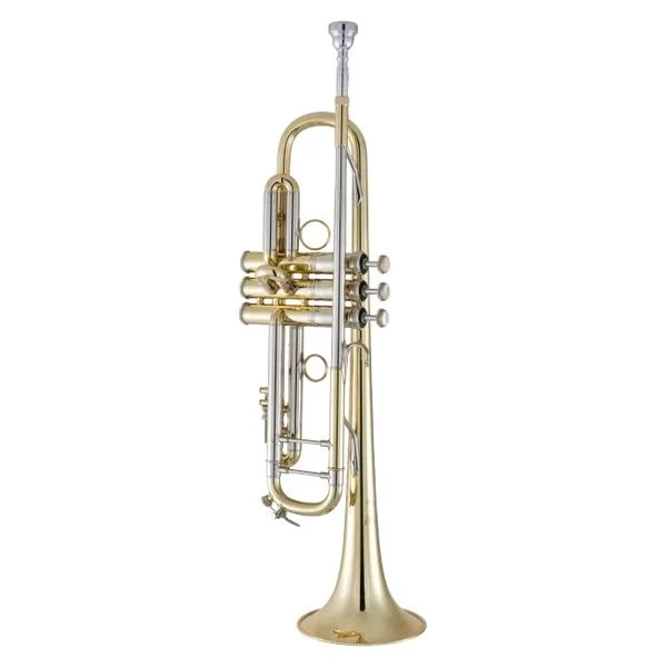 thomann-3247103