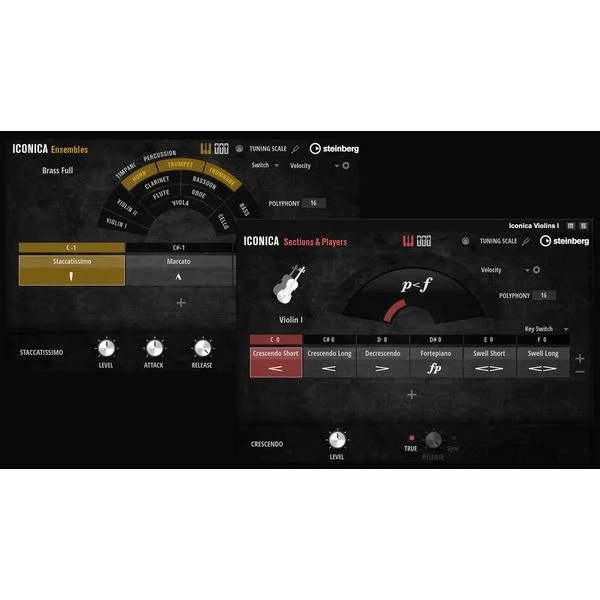 thomann-3600384