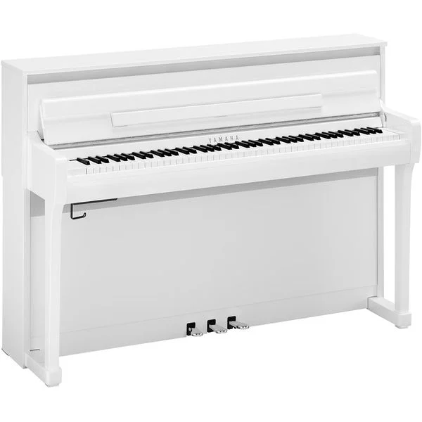 thomann-3630523
