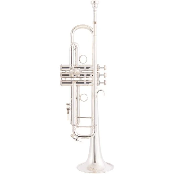 thomann-3730850